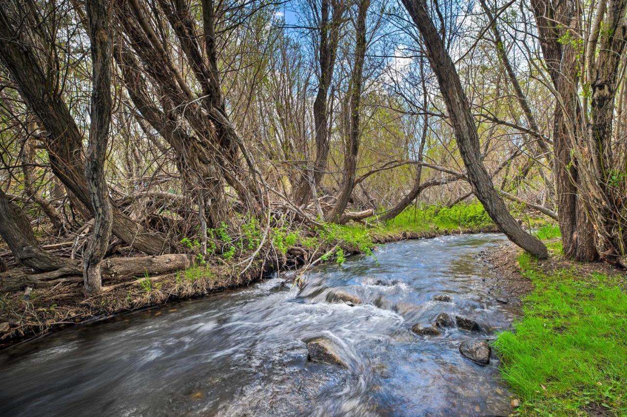 Mammoth Lakes Nature Escape Hot Tub Access! ภายนอก รูปภาพ